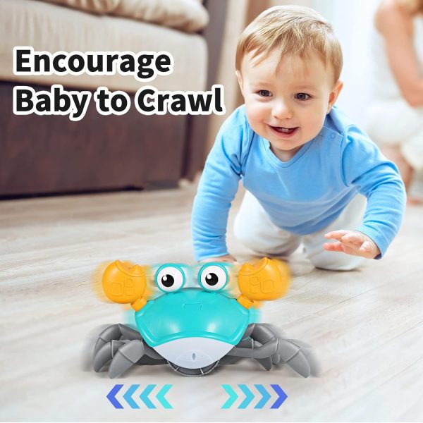 Crawling Crab Baby Toy (random).